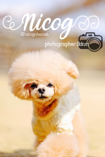 �܂��܂��B��₷�����x�ő����Ă܂����[