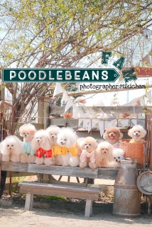 �݂������̃V���[�S�[