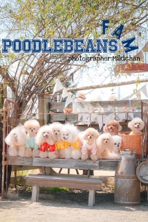 �����ꖇ�I