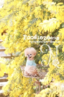 �󕨂̎ʐ^�����肪�Ƃ�