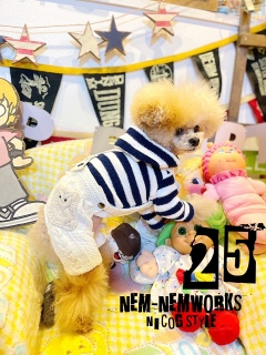 ������Ƃ��@�����X�����Ȃ��j�R�W�����ǁc