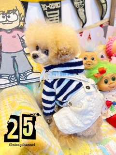 �ۂ��g�̂���������