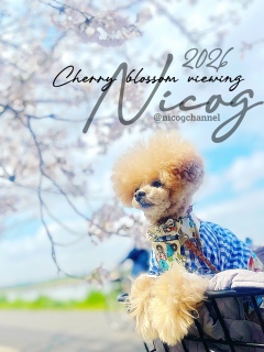 ���G���\���C���V�m