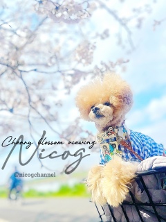 ����ɂ��́I���N�̍�����I