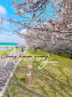 �z���g�����D�����킟�[