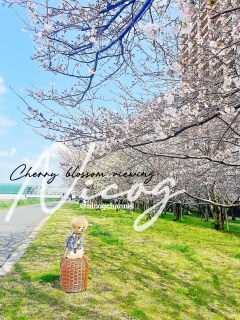 �����ɃR�R�ł̐����B�e�͌��o���ĂȂ��̂����ǂˁ[