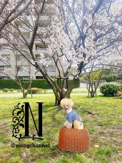 �ۈ牀���񂽂������Ȃ��Ȃ��ĐS�̂�Ƃ肪�c