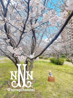 �R�R���D��