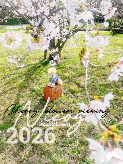 �ڎ��ł͂����ƃ��������̍��Ȃ񂾂��ǁc