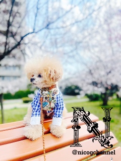 ���������ĂȂ����Ǖ��͋C���D���Ȃ�