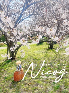 �D���ȏꏊ�̍��n�߂̑���