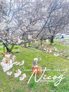 ���J�O�̏�Ԃ��D�����Ȃ�