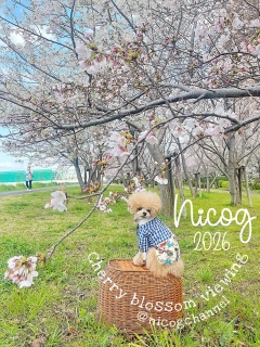 �܂������Ă܂��c�D���ȂƂ��̍��ł��[