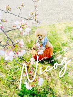 ���t���[��