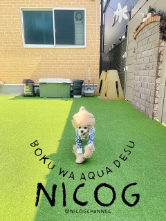 boku wa aqua desu�ƌ����h�b�N�J�t�F�ł��[