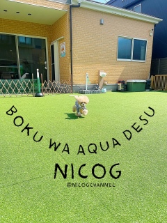 �����ف[���[�I