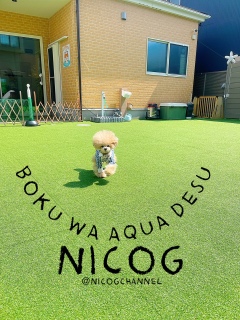 �ǁ[���Ƃ��X�̕������߂Ă�������style�H