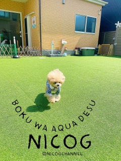 ���点��Ƒ�����ł���[