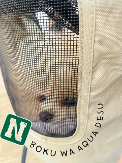 �X���ŃJ�[�g�݂��ĉ������܂����[