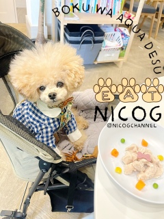 �j�R�����̂��I�[�_�[