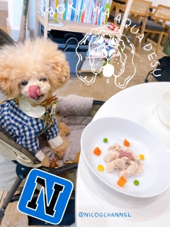 �y�������Ă��[