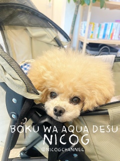 �����������b�N�X���Ă܂����[