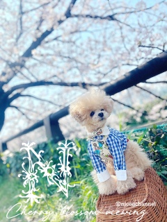 ���l�`����݂������Ă悭������ˁH