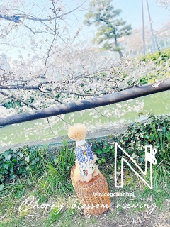 �����[��ƌ������Ă��܂����c