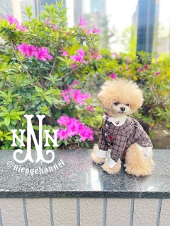 �҂����킹�ꏊ�ɓ������ď������Ԃ���ƃj�R�\���B�肵���Ⴄ��ˁ[