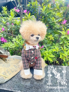 �����E����5�ʈȓ��ɍD���ȕ�