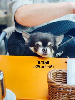 ��l��������܂�O�g����