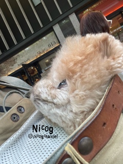 �j�R��������l�������Ă܂��I