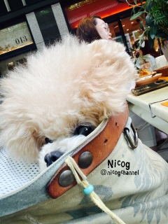 �ڂ����o���ă`���b