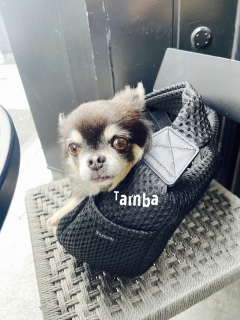 �}�}���ȊO���Ă����������Ă܂�