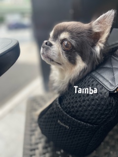 ��������l�����ˁ[