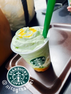 �X�^�[�t���y�`�[�m�H