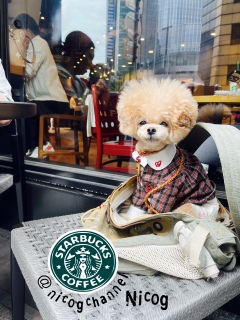 �ȊO���ĂĖ߂��Ă�����j�R�����߂���҂��ĂĂ��ꂽ�[