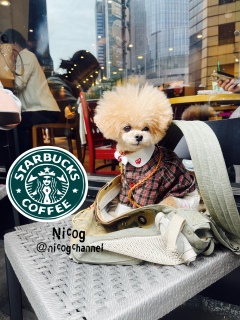 ��[���킢���I