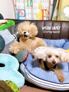 �����т��ċْ��ق����Ă��H