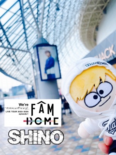 2����timelesz�����h�[�������̓�