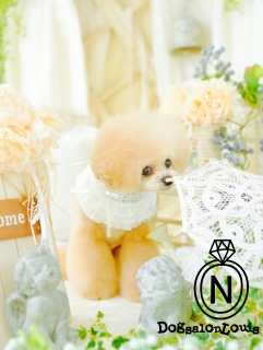 �ŐV�̃g���~���O�j�R�W2
