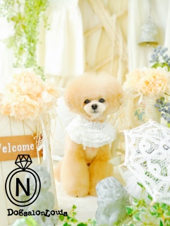 �ŐV�̃g���~���O�j�R�W4