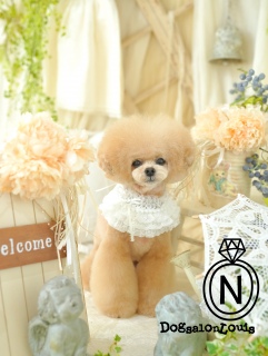 �ŐV�̃g���~���O�j�R�W5