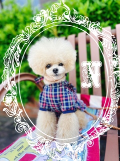 �����Ί�݁[���[�ā[