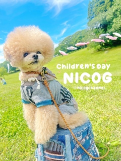 Children's Day����I