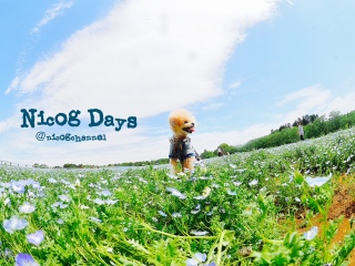 30�����炢�œ���