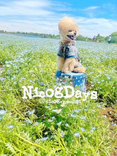 ���̕��̃l���t�B���͂Ȃ��Y��Ɍ������ˁH