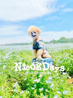 �ߌ�����������������ǂˁ[