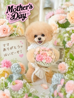 �j�R����񂾂��͂��[���ƃ}�}�D���ł��Ăˁ[