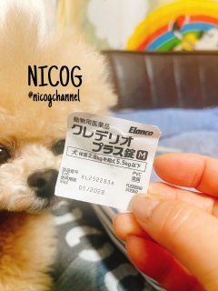 2.8kg�̕�